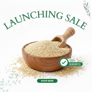 whatsapp image 2025 09 10 at 04.51.16 41a9e0d1